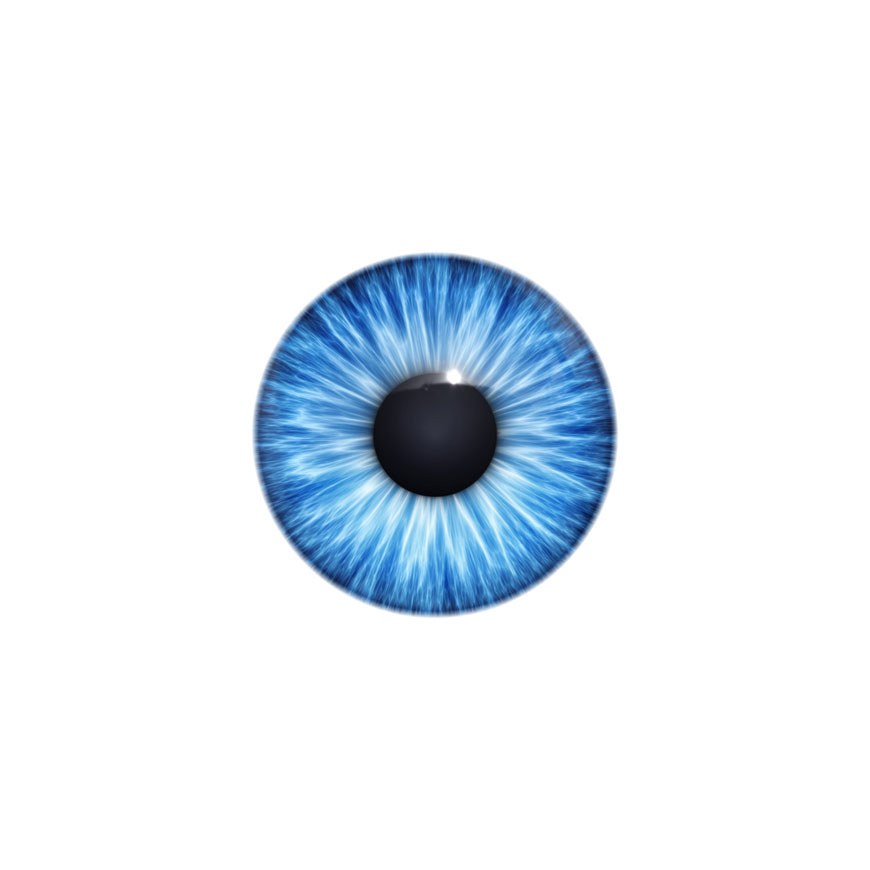 iris_auge_header