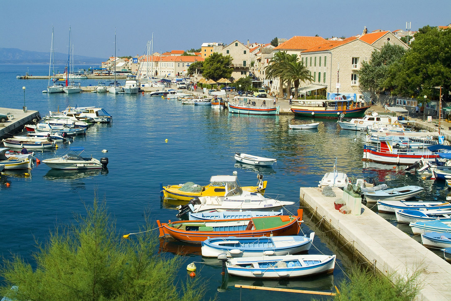 allgemein_paare_header